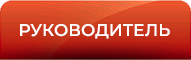 кнопка Руководитель ФИП.png