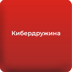 Кибердружина.png